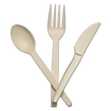 CONSERVE® Corn Starch Cutlery, Spoon, White, 100-pack freeshipping - TVN Wholesale