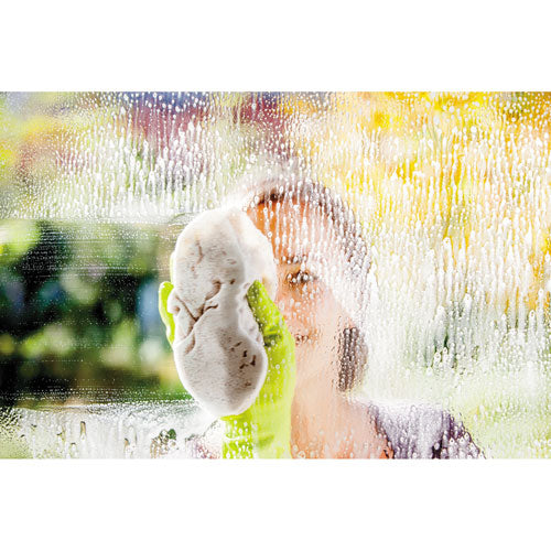 Formula 409® Glass And Surface Cleaner, Refill, 128 Oz freeshipping - TVN Wholesale