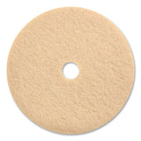 Coastwide Professional™ Burnishing Floor Pads, 27" Diameter, Tan, 5-carton freeshipping - TVN Wholesale