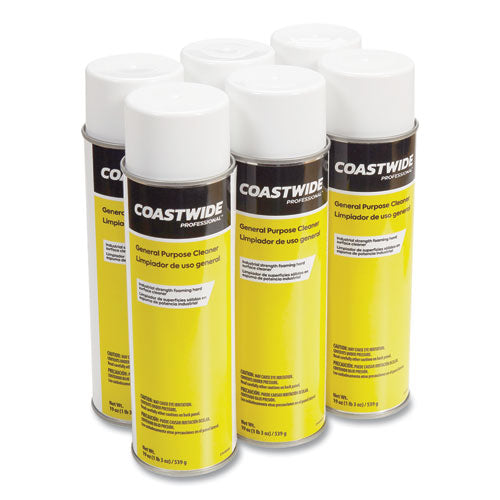 Coastwide Professional™ General Purpose Cleaner, Fresh And Clean Scent, 19 Oz Aerosol Spray, 6-carton freeshipping - TVN Wholesale
