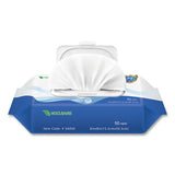 GN1 Personal Ethyl Alcohol Wipes, 6 X 8, White, 50-pack, 24 Packs-carton, 84 Cartons-pallet freeshipping - TVN Wholesale