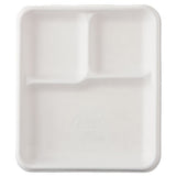 Heavy-weight Molded Fiber Cafeteria Trays, 6-compartment, 12.5  X 8.5, White, 500-carton