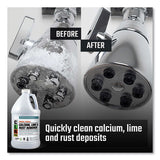 CLR PRO® Calcium, Lime And Rust Remover, 1 Gal Bottle freeshipping - TVN Wholesale
