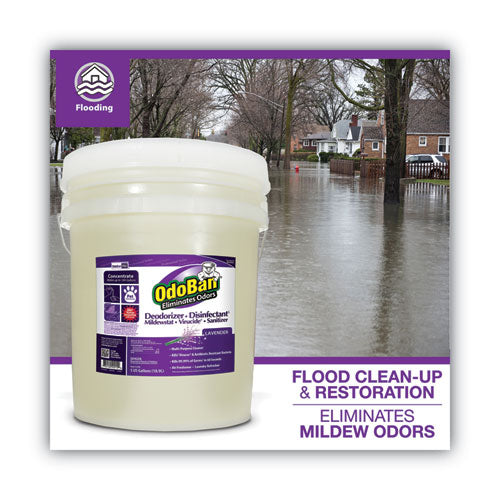OdoBan® Concentrated Odor Eliminator And Disinfectant, Lavender Scent, 5 Gal Pail freeshipping - TVN Wholesale