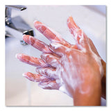 Safeguard™ Professional Antibacterial Liquid Hand Soap, Light Scent, 1 Gal Bottle, 2-carton freeshipping - TVN Wholesale
