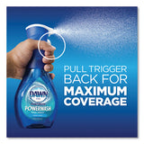 Dawn® Platinum Powerwash Dish Spray, Fresh, 16 Oz Spray Bottle, 2-pack freeshipping - TVN Wholesale