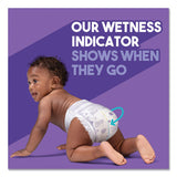 Luvs® Diapers, Size 2, 12 Lbs To 18 Lbs, 40-pack, 2 Pack-carton freeshipping - TVN Wholesale