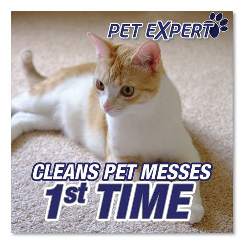 RESOLVE® Pet High Traffic Foam Carpet And Upholstery Cleaner, 22 Oz Aerosol Spray, 12-carton freeshipping - TVN Wholesale
