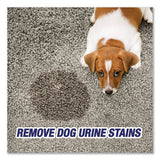 RESOLVE® Urine Destroyer, Citrus, 32 Oz Spray Bottle freeshipping - TVN Wholesale