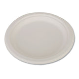 Champware Heavyweight Bagasse Dinnerware, Plate, 6