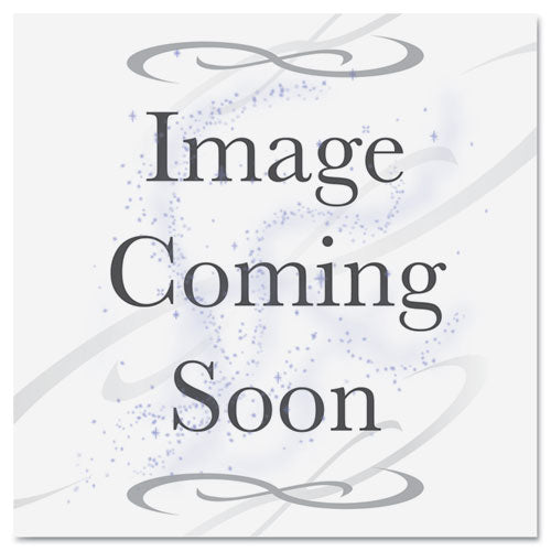 Tennsco Extra Shelves For 24" Deep Deluxe Storage Cabinets, Black freeshipping - TVN Wholesale