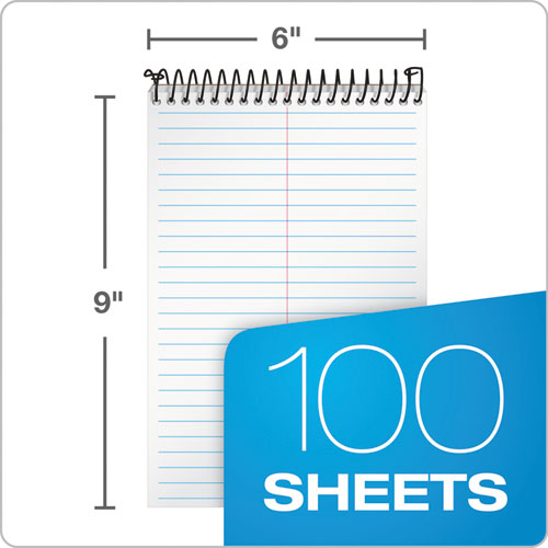 TOPS™ Docket Gold Steno Pads, Gregg Rule, Frosted White Cover, 100 White (heavyweight 20 Lb) 6 X 9 Sheets freeshipping - TVN Wholesale