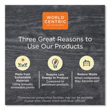 World Centric® Pla Lids For Fiber Cups, 2.6" Diameter X 0.3"h, Clear, 2,000-carton freeshipping - TVN Wholesale