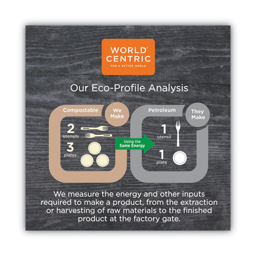 World Centric® Tpla Compostable Cutlery, Spoon, 6", White, 750-carton freeshipping - TVN Wholesale