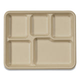 World Centric® Fiber Trays, Pla Lined, Pfas Free, 1-compartment, 18 X 14 X 1, Natural, 100-carton freeshipping - TVN Wholesale