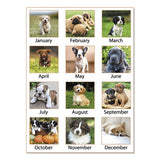 AT-A-GLANCE® Puppies Monthly Wall Calendar, Puppies Photography, 15.5 X 22.75, White-multicolor Sheets, 12-month (jan To Dec): 2022 freeshipping - TVN Wholesale 