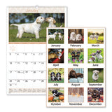 AT-A-GLANCE® Puppies Monthly Wall Calendar, Puppies Photography, 15.5 X 22.75, White-multicolor Sheets, 12-month (jan To Dec): 2022 freeshipping - TVN Wholesale 