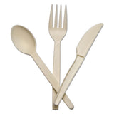 CONSERVE® Corn Starch Cutlery, Spoon, White, 100-pack freeshipping - TVN Wholesale 