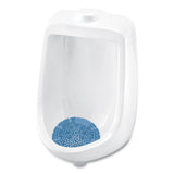 Big D Industries Diamond 3d Urinal Screen, Mountain Air Scent, Blue, 10-pack, 6 Packs-carton freeshipping - TVN Wholesale 