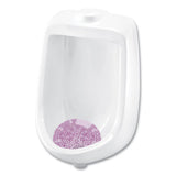 Big D Industries Diamond 3d Urinal Screen, Lavender Lace Scent, 0.13 Oz, Lavender, 10-box freeshipping - TVN Wholesale 