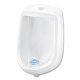 Big D Industries Extra Duty Urinal Screen With Non-para Block, Evergreen With Enzymes Scent, White, Dozen freeshipping - TVN Wholesale 