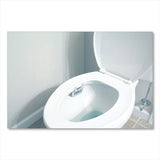 Big D Industries Non-para Toilet Bowl Block, Lasts 30 Days, Evergreen Scent, White, 12-box freeshipping - TVN Wholesale 