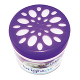 BRIGHT Air® Super Odor Eliminator, Lavender And Fresh Linen, Purple, 14 Oz Jar, 6-carton freeshipping - TVN Wholesale 