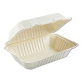 Boardwalk® Bagasse Food Containers, Hinged-lid, 1-compartment 9 X 9 X 3.19, White, 100-sleeve, 2 Sleeves-carton freeshipping - TVN Wholesale 