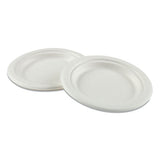 Bagasse Dinnerware, 5-compartment Tray, 8 X 12, White, 500-carton