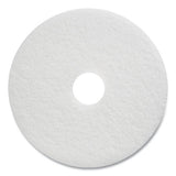 Coastwide Professional™ Polishing Floor Pads, 17" Diameter, White, 5-carton freeshipping - TVN Wholesale 