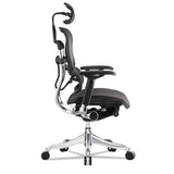 Eurotech Ergohuman Elite High-back Chair, 18.1" To 21.6" Seat Height, Black freeshipping - TVN Wholesale 