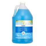 Alpine Clenz Antibacterial Foaming Hand Soap, Blue Breeze Scent, 1 Gal Bottle freeshipping - TVN Wholesale 