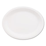 Chinet® Paper Dinnerware, 3-compartment Plate, 10.25" Dia, White, 500-carton freeshipping - TVN Wholesale 