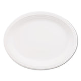 Chinet® Paper Dinnerware, Plate, 6" Dia, White, 125-pack freeshipping - TVN Wholesale 
