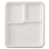 Chinet® Heavy-weight Molded Fiber Cafeteria Trays, 6-compartment, 12.5  X 8.5, White, 500-carton freeshipping - TVN Wholesale 