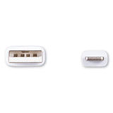 Innovera® Usb Lightning Cable, 3 Ft, White freeshipping - TVN Wholesale 