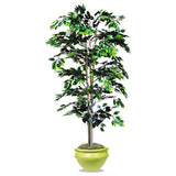 NuDell™ Artificial Ficus Tree, 6 Ft Tall freeshipping - TVN Wholesale 