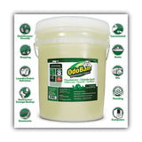 OdoBan® Concentrated Odor Eliminator And Disinfectant, Eucalyptus, 5 Gal Pail freeshipping - TVN Wholesale 
