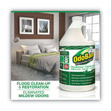 OdoBan® Concentrated Odor Eliminator And Disinfectant, Eucalyptus, 1 Gal Bottle freeshipping - TVN Wholesale 