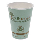 Pactiv Evergreen Earthchoice Hot Cups, 12 Oz, Teal, 1,000-carton freeshipping - TVN Wholesale 