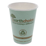 Pactiv Evergreen Earthchoice Hot Cups, 16 Oz, Green, 1,000-carton freeshipping - TVN Wholesale 