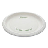 Pactiv Evergreen Earthchoice Pressware Compostable Dinnerware, Plate, 9" Dia, White, 450-carton freeshipping - TVN Wholesale 