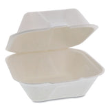 Pactiv Evergreen Earthchoice Bagasse Hinged Lid Container, Single Tab Lock, 6" Sandwich, 5.8 X 5.8 X 3.3, Natural, 500-carton freeshipping - TVN Wholesale 