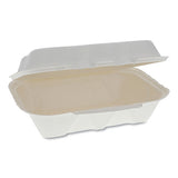 Pactiv Evergreen Earthchoice Bagasse Hinged Lid Container, Dual Tab Lock, 9.1 X 6.1 X 3.3, Natural, 150-carton freeshipping - TVN Wholesale 