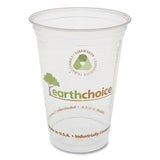 Earthchoice Compostable Cold Cups, 20 Oz, Clear-printed, 600-carton