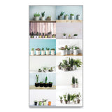 Blueline® 12-month Wall Calendar, Succulent Plants Photography, 12 X 17, White-multicolor Sheets, 12-month (jan To Dec): 2022 freeshipping - TVN Wholesale 