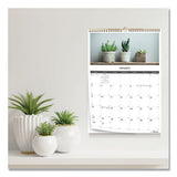 Blueline® 12-month Wall Calendar, Succulent Plants Photography, 12 X 17, White-multicolor Sheets, 12-month (jan To Dec): 2022 freeshipping - TVN Wholesale 