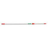 Ergo Tele Pole, 8 Ft, Aluminum-red