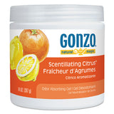 Natural Magic® Odor Absorbing Gel, Scentillating Citrus, 14 Oz Jar freeshipping - TVN Wholesale 