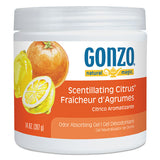 Natural Magic® Odor Absorbing Gel, Scentillating Citrus, 14 Oz Jar, 12-carton freeshipping - TVN Wholesale 